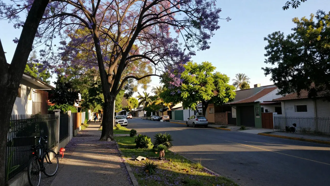 Agronomía: cómo la baja densidad mejora la tranquilidad urbana en los barrios de Buenos Aires