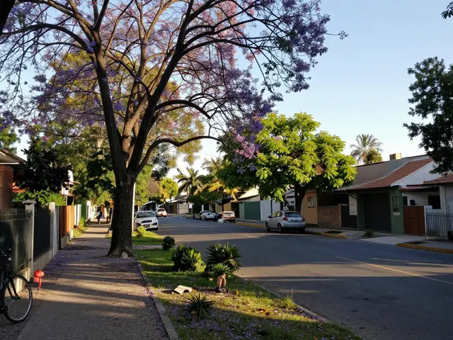 Agronomía: cómo la baja densidad mejora la tranquilidad urbana en los barrios de Buenos Aires