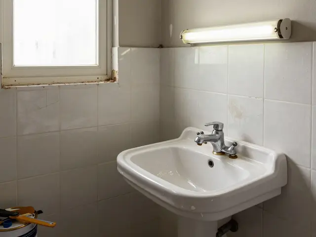 Refacción de baños: ideas prácticas y económicas para cambiar tu baño sin gastar mucho